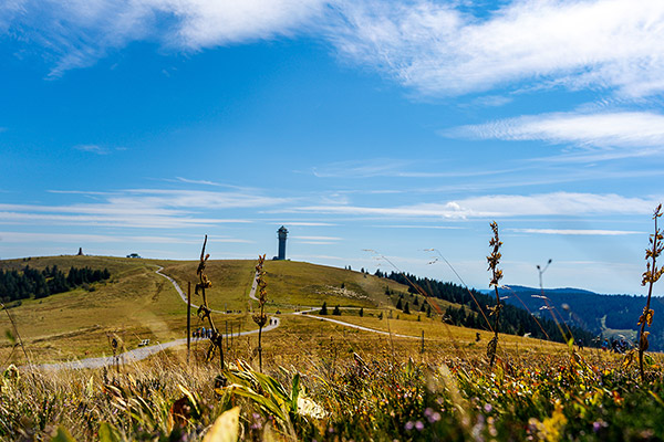 Wandern auf dem Feldberggipfel